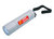 W797 - Elumina LED Torch